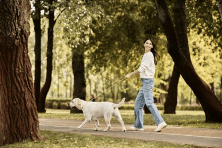 What to Do After a Dog Bite?